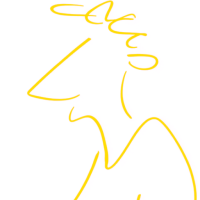 Person